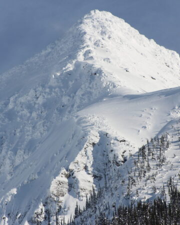 Ski/Snowboard